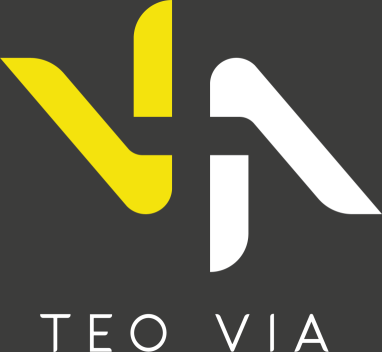 TEO VIA logo